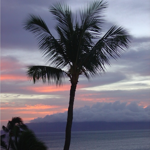 Meet your Posher, Tish - Picture 14 of 16